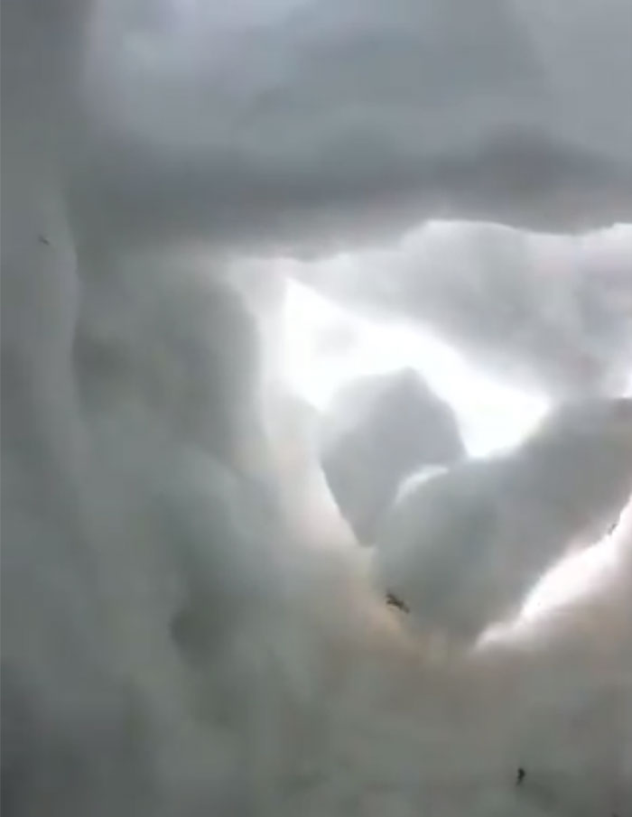 Buried In Snow, This Man Films A Mountain Rescue Dog Saving Him And It's Lovely