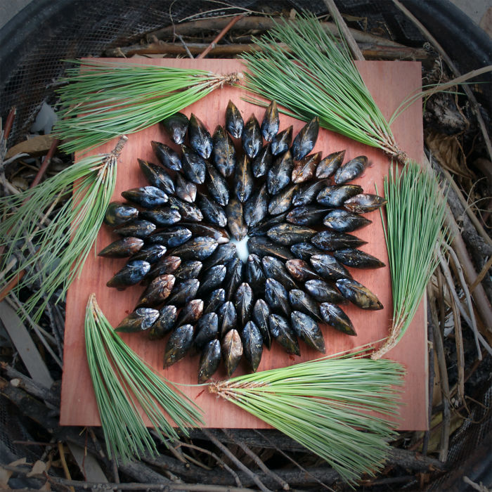 Mussels Cooked Under Pine Needles