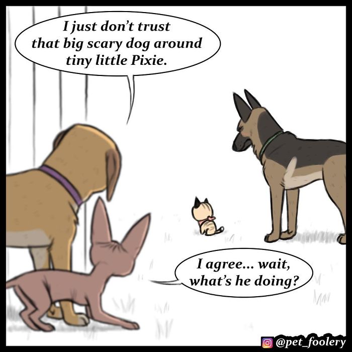 Pixie And Brutus Comics Already Have Over 1,4M Followers And These Are Their 6 Newest Strips