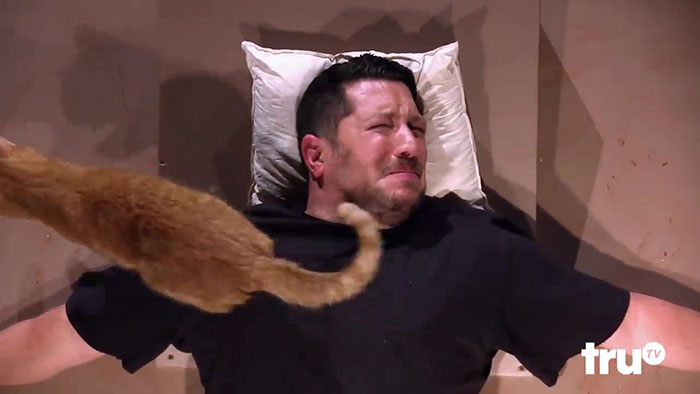 Man With Immense Fear Of Cats Gets Forced To Experience The Cuteness Of Kittens