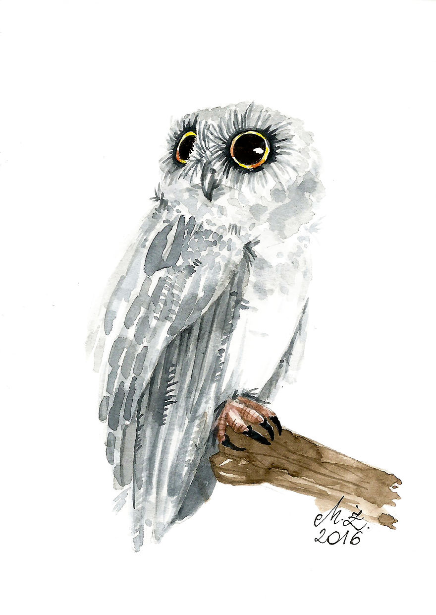 I Paint Tiny, Cute Owls On A Daily Basis And Can't Stop (17 Illos)