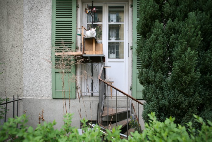 Photographer Documents The Phenomenon Of Cat Ladders In Switzerland (22 Pics)