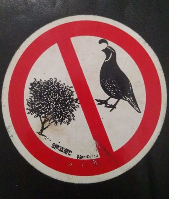 This Sticker On The Inside Cover Of A Second-Hand Bible. Pretty Sure It Depicts A Partridge And A Fig Tree, Both Of Which Have Biblical Connections But No Idea What It Means
