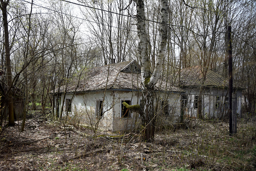 This Is How The Ukrainian Ghost Towns Chernobyl And Pripyat Look Today
