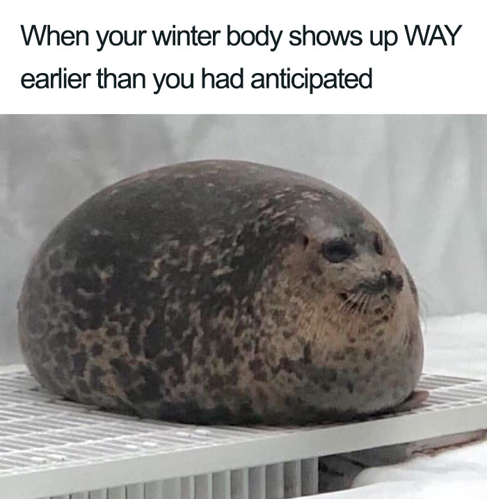Winter Body