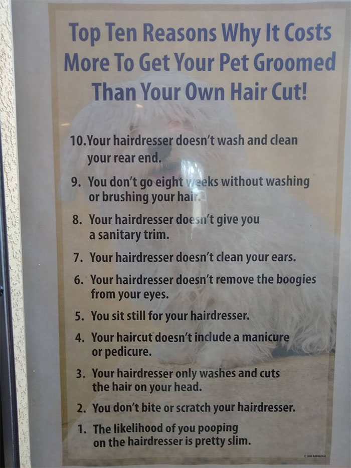 Esta peluquera de mascotas está harta de que le pregunten por qué sus servicios son más caros que los de un estilista y lo explica en un poster