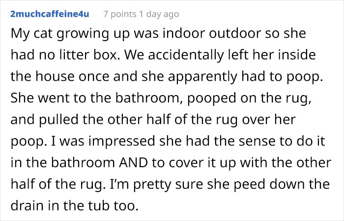 Cat Splits Open A Litter Bag To Poop After He Finds Door To His Litter Box Shut, People React With Hilarious Comments