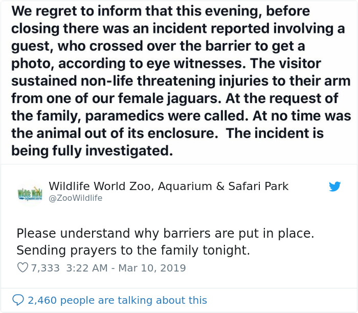 Zoo Confirms That The Jaguar Who Attacked A Woman Trying To Take A Selfie With Her Won't Be Put Down