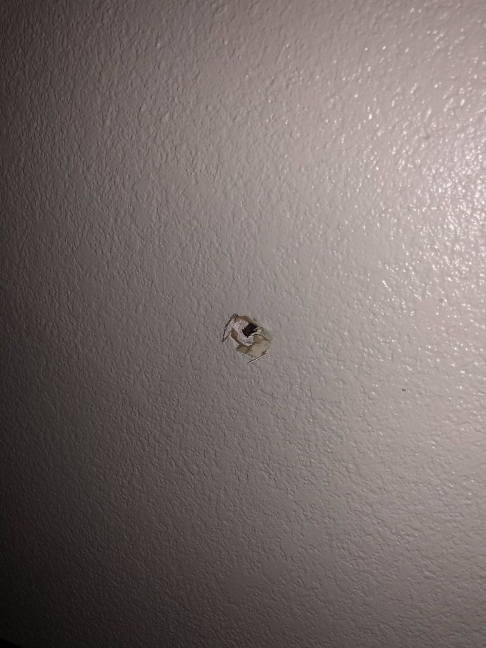 Gaming Monitor Stops One Of 5 Bullets Shot At This Guy’s House, MSI Offers To Replace It