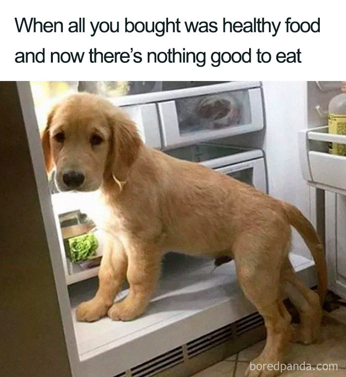 Nothing Good To Eat