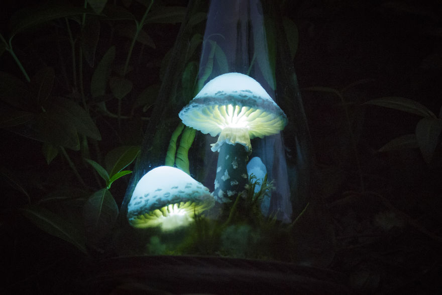 Turquoise Mushrooms In Glass Flask Night Light