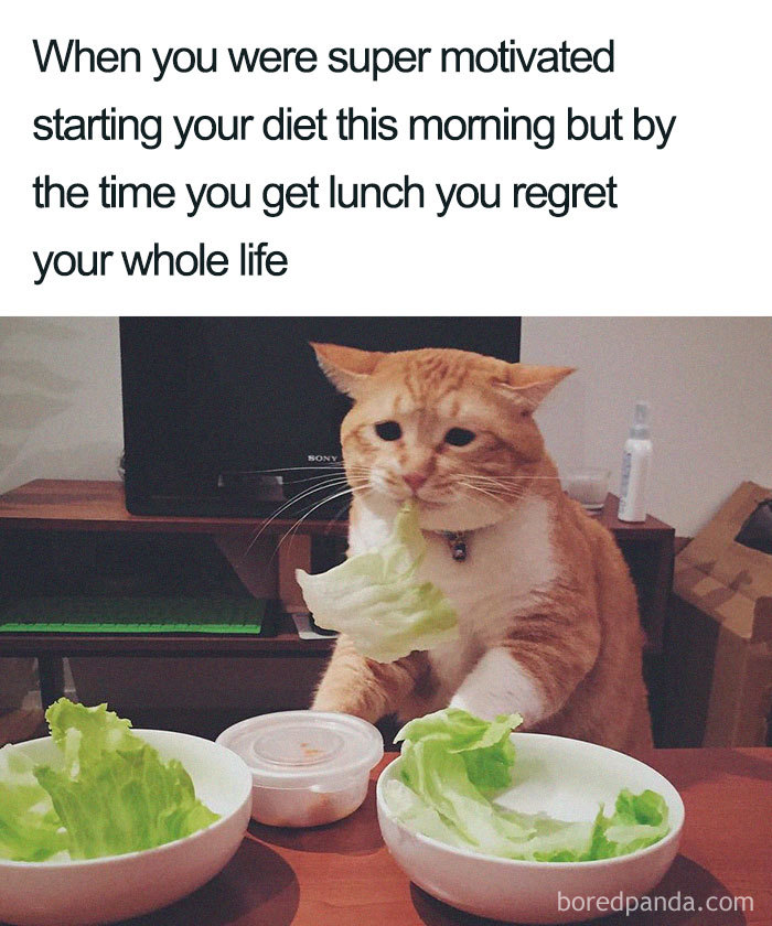 Funny-Diet-Weight-Loss-Memes