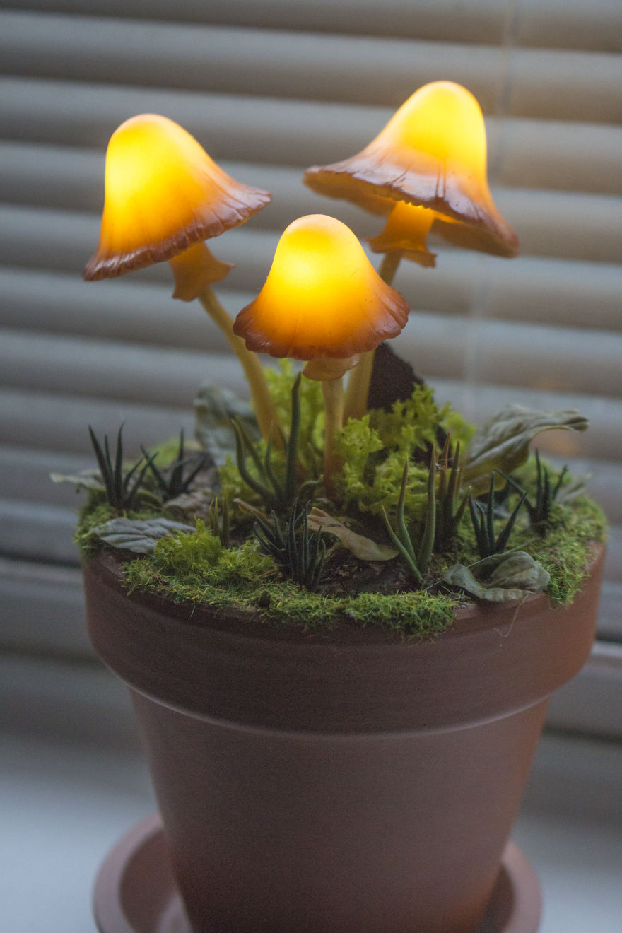 Three Amber Mushrooms In Flower Pot Night Light