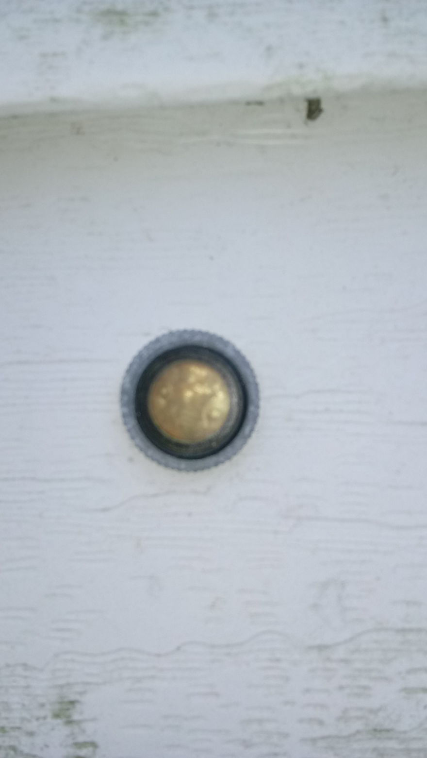 What Is This? What Is This?
