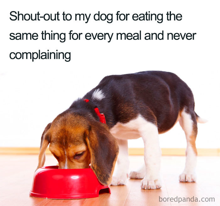The Same Thing For Every Meal