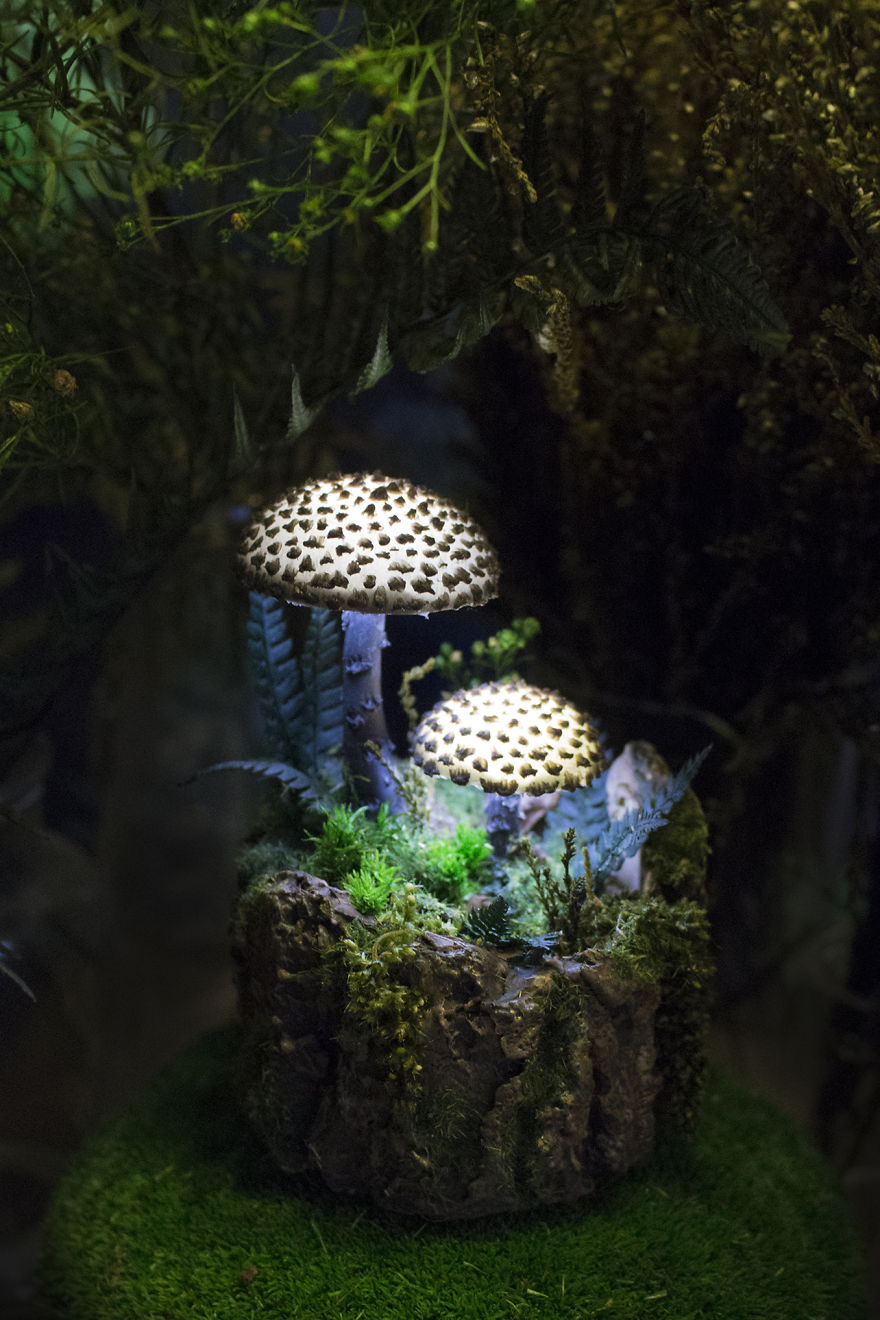 Black Mushrooms Night Light