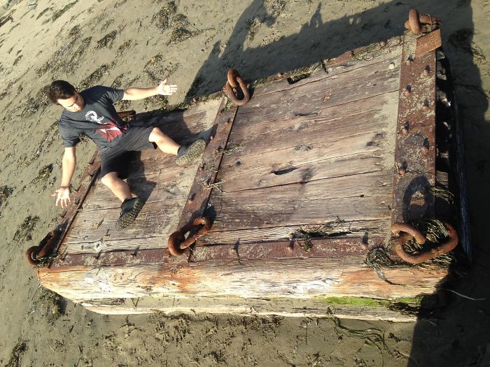 Found Washed Up On Dillon Beach, California USA. Human For Scale, I'm 5'10"