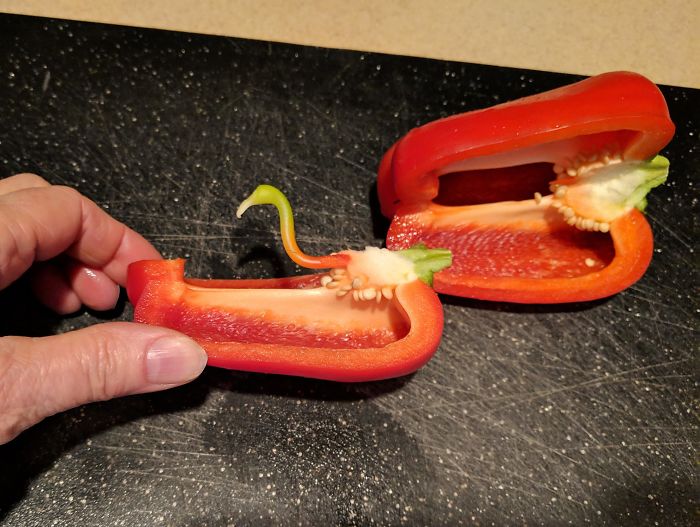 My Mom Found A Flamingo In Her Bell Pepper