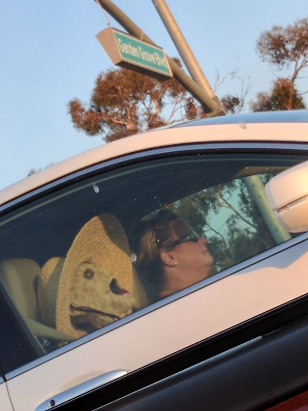 Pulled Up Next To Me At A Red Light