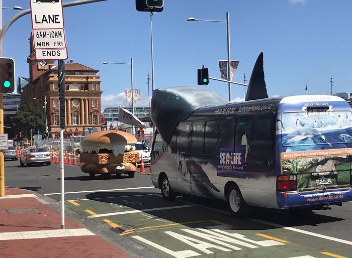 Un Autobús-Tiburón Persiguiendo Un Filete De Pescado En Auckland