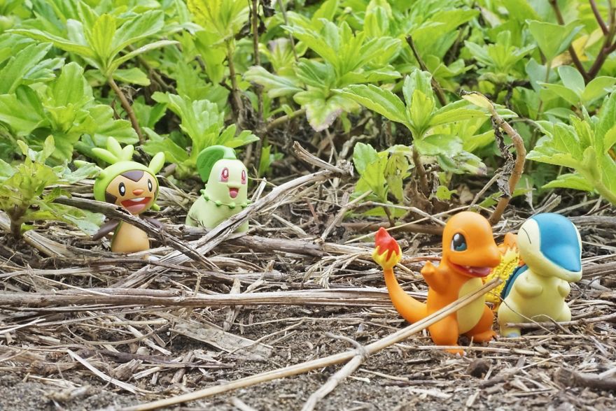 My Pikachu's Vacation My Pikachu's Vacation