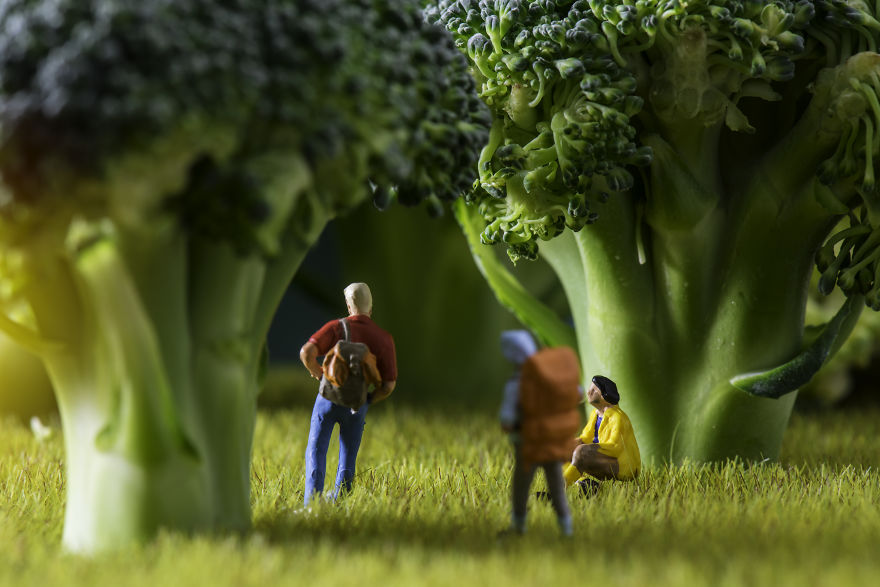 The Broccoli Forest