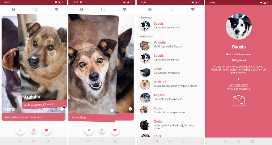 Getpet: Our Tinder-Inspired App That Connects Dogs With Their Future Owners