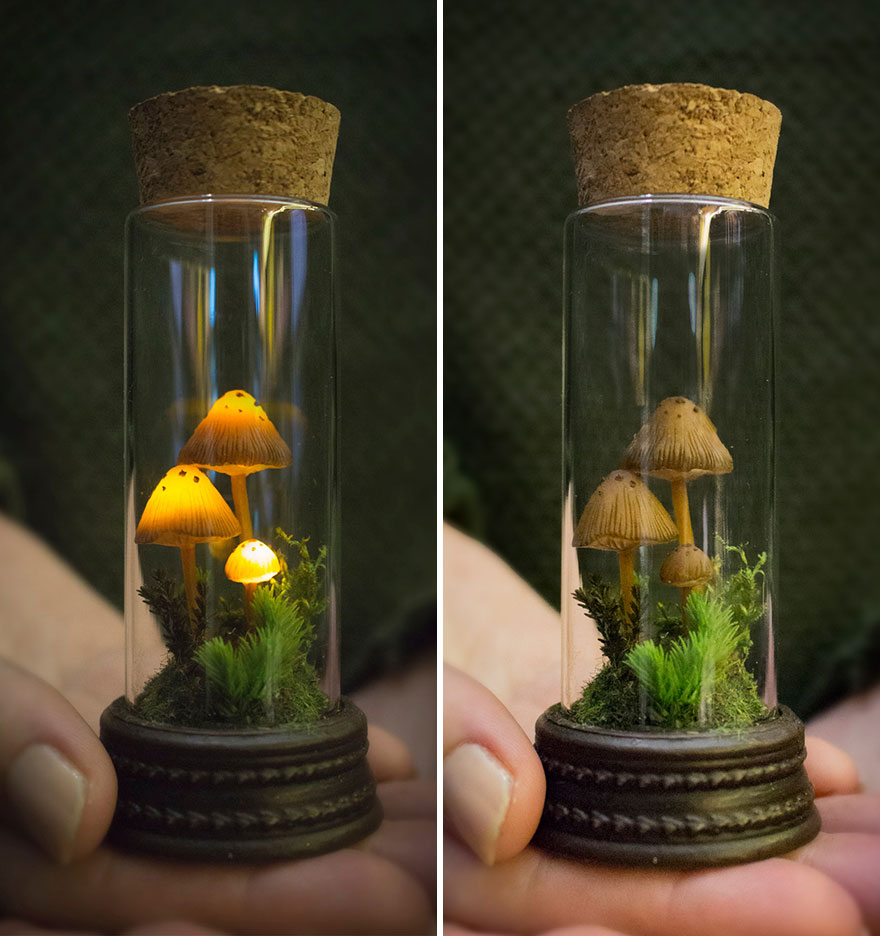 Miniature Night Light - Mushrooms In Glass Vial