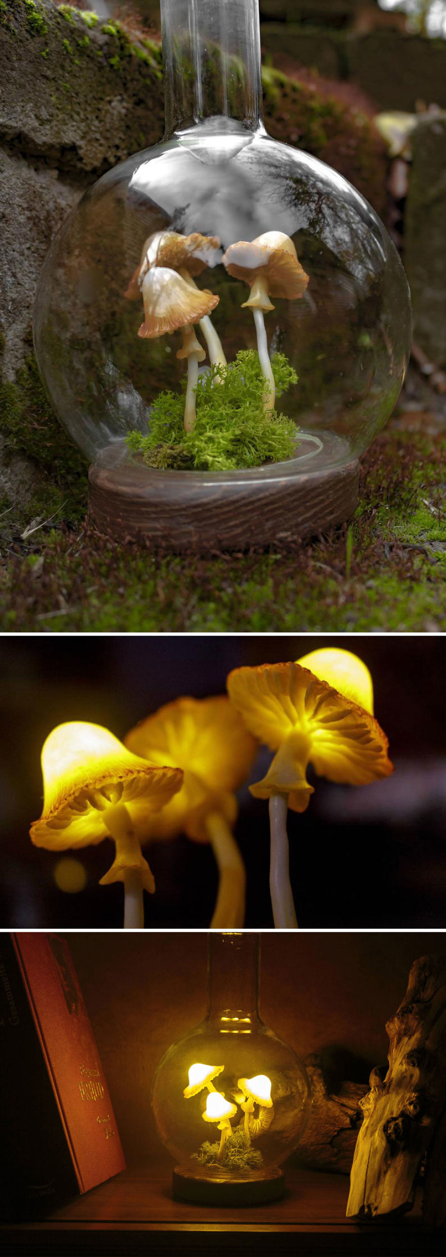 Three Mushrooms With Moss In A Glass Flask Night Light