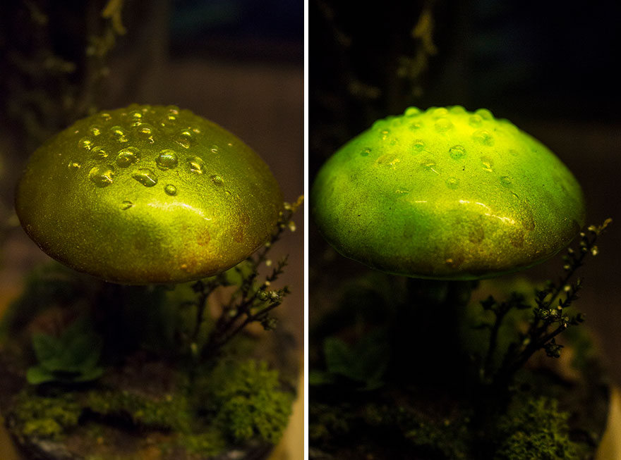 Iridescent Green Mushroom Night Light