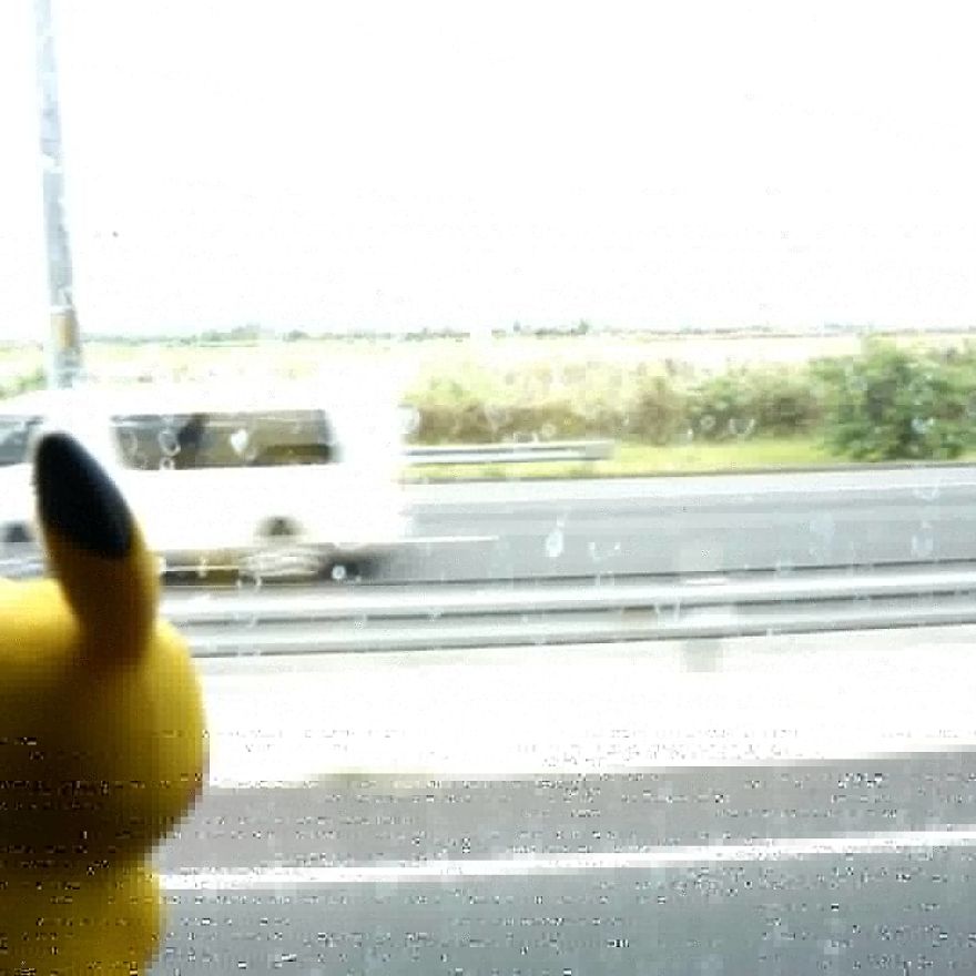 My Pikachu's Vacation My Pikachu's Vacation