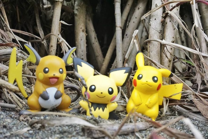 My Pikachu's Vacation My Pikachu's Vacation