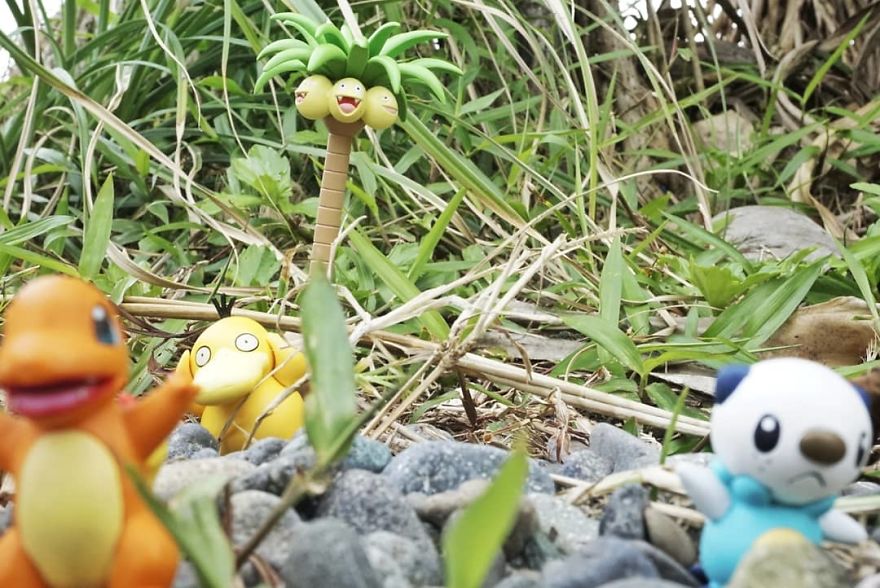 My Pikachu's Vacation My Pikachu's Vacation