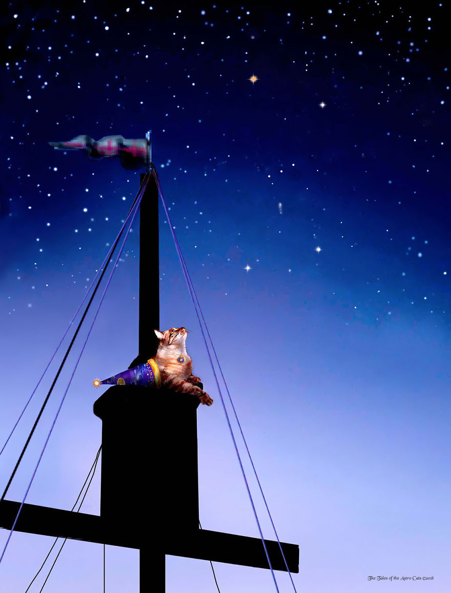A Husband And Wife Collaboration Brings About A Book Inspired By The Love Of Their Family Cats And Astronomy A Husband And Wife Collaboration Brings About A Book Inspired By The Love Of Their Family Cats And Astronomy