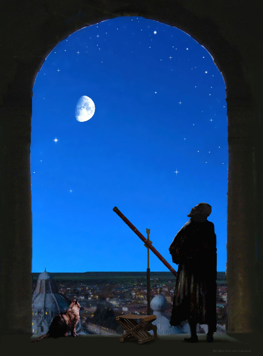A Husband And Wife Collaboration Brings About A Book Inspired By The Love Of Their Family Cats And Astronomy A Husband And Wife Collaboration Brings About A Book Inspired By The Love Of Their Family Cats And Astronomy
