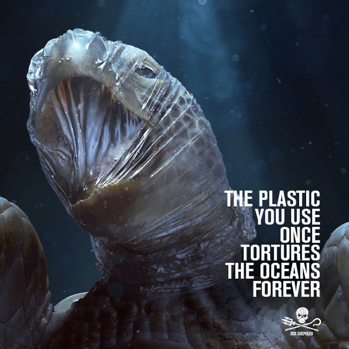 Esta impactante campaña usa imágenes gráficas para señalar el daño que hacen los plásticos a la fauna marina