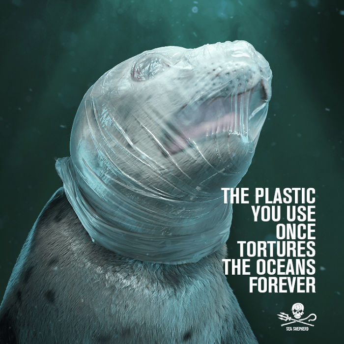 Esta impactante campaña usa imágenes gráficas para señalar el daño que hacen los plásticos a la fauna marina