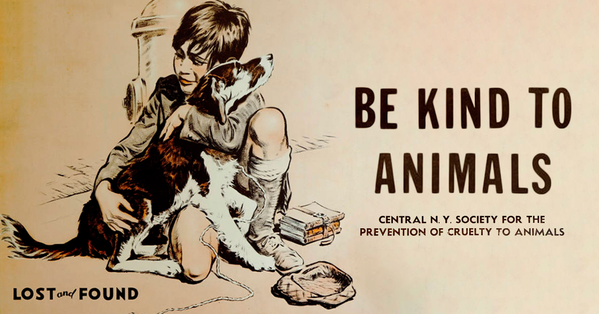 17 Posters From The 1930s, The Age Of Great Depression, That Promote  Kindness To Animals | Bored Panda