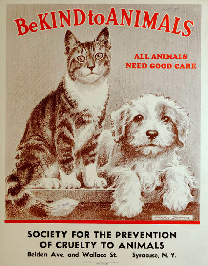 17 Posters From The 1930s, The Age Of Great Depression, That Promote Kindness  To Animals | Bored Panda