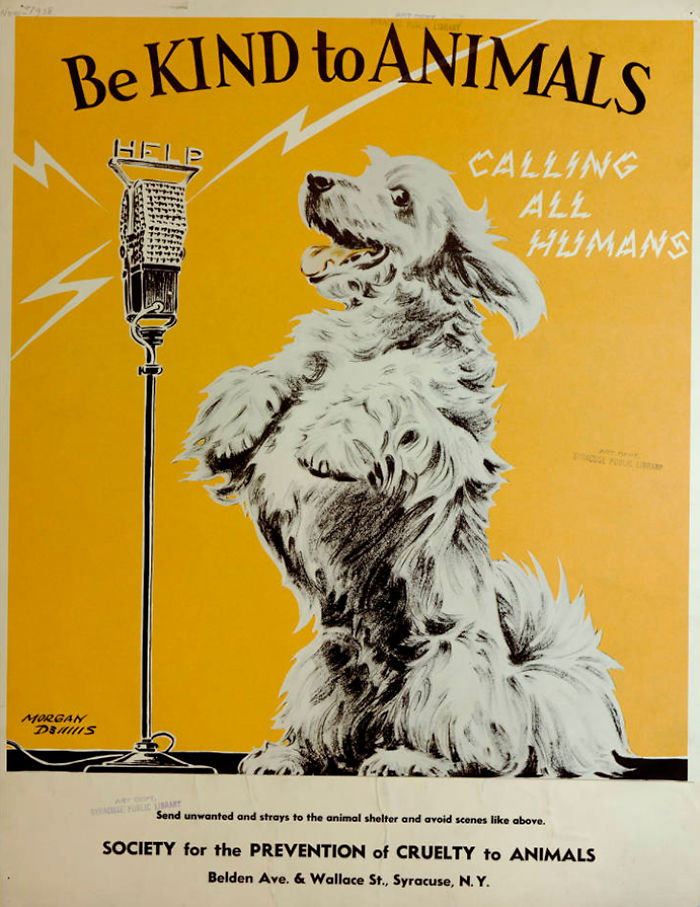 17 Posters From The 1930s, The Age Of Great Depression, That Promote Kindness  To Animals - Page 2 of 4 - Success Life Lounge