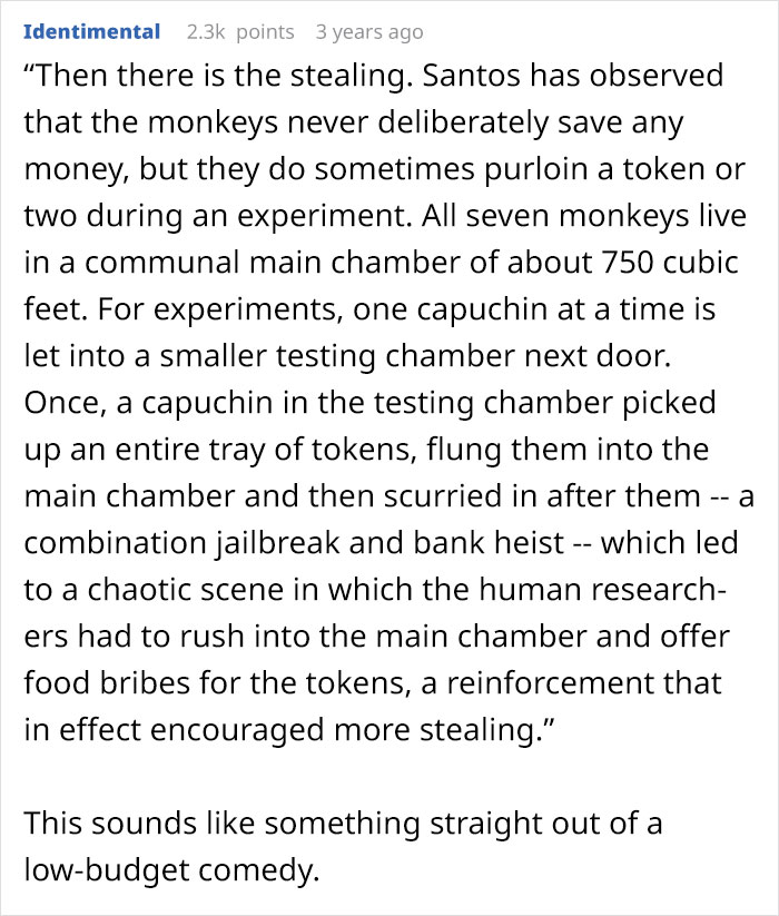 Scientist Taught Monkeys To Use Money To Buy Snacks And They Proved To Be Just Like Humans