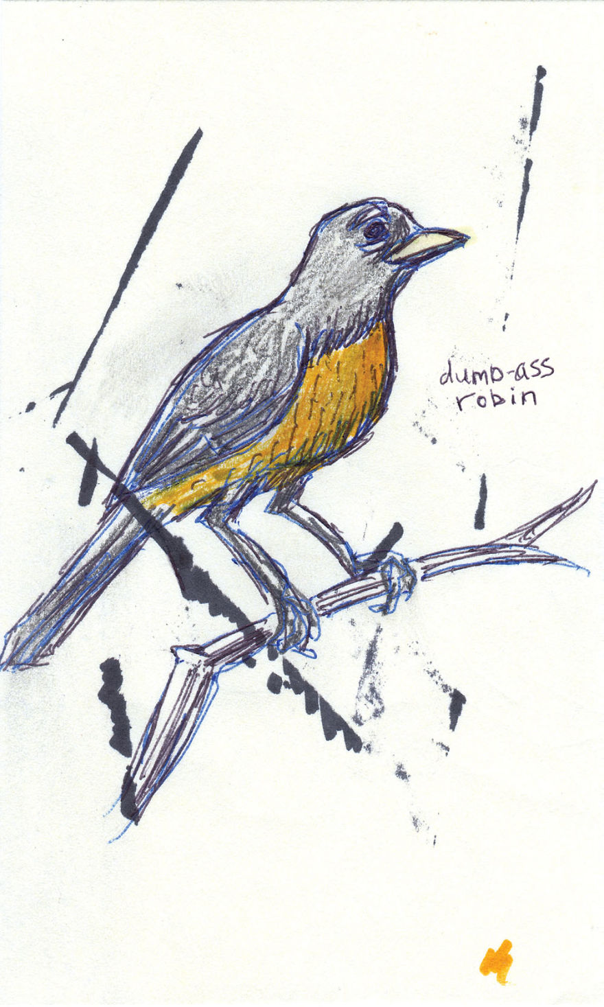 I Draw Pictures Of Birds, And Then Blog About Why They’re So Stupid I Draw Pictures Of Birds, And Then Blog About Why They’re So Stupid