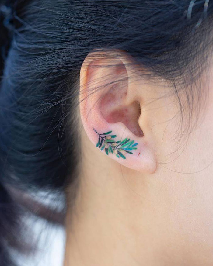 Olive Branch Tattoo On The Ear
