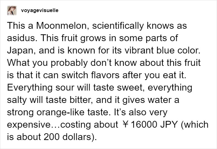 Someone Posts Pic Of Rare ‘Moonmelon’, But People Already Know It’s Fake So They Respond With Hilarious Creations Of Their Own
