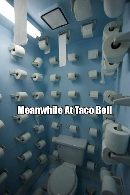 funny-Taco-Bell-toilet-paper-bathroom-5c9a33136687a.jpg