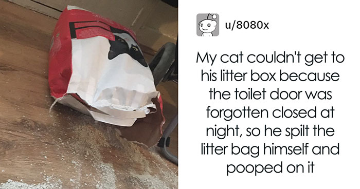 Cat Splits Open A Litter Bag To Poop After He Finds Door To His Litter Box Shut, People React With Hilarious Comments
