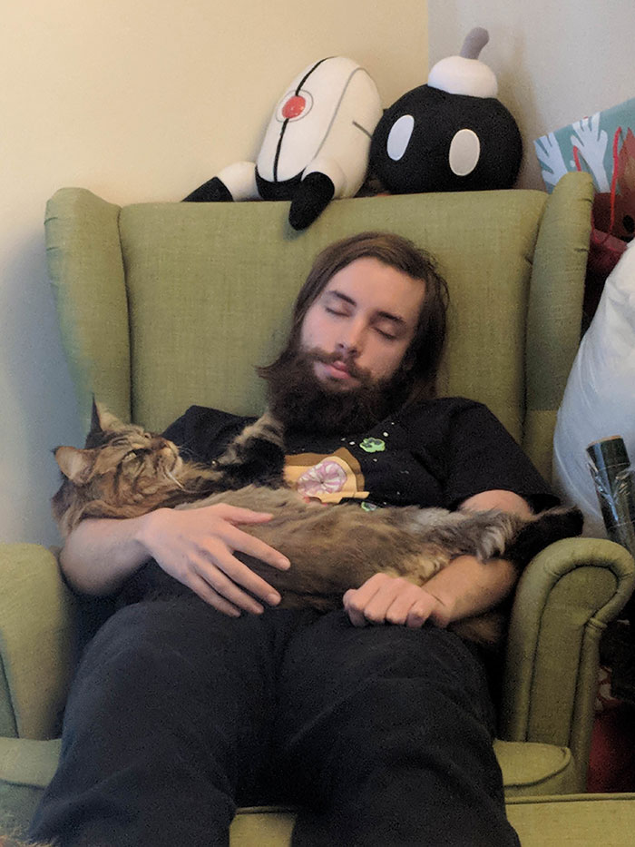 I Found My Boyfriend And Our Maine Coon Asleep In The Office A Few Days Ago