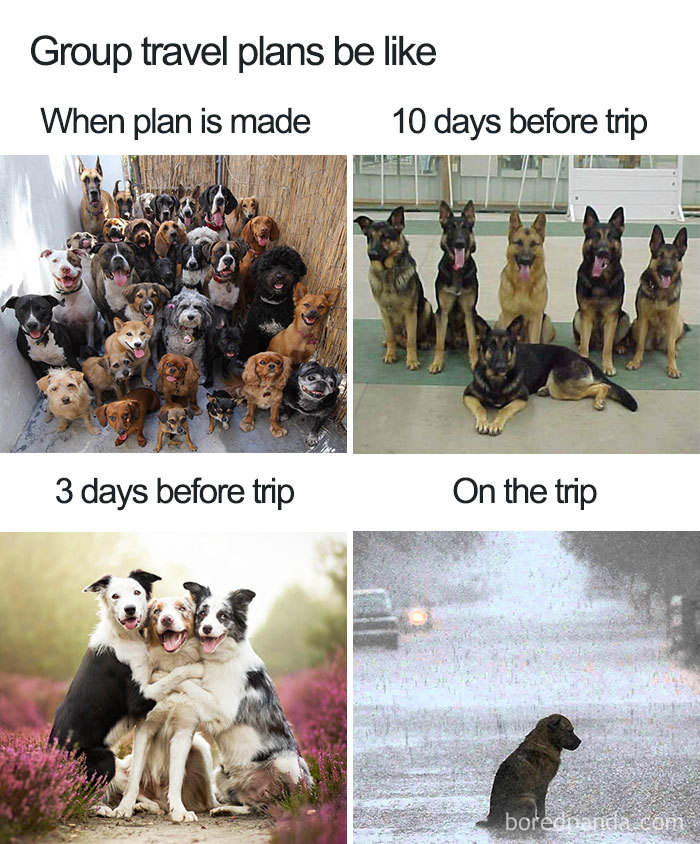 Travel Memes