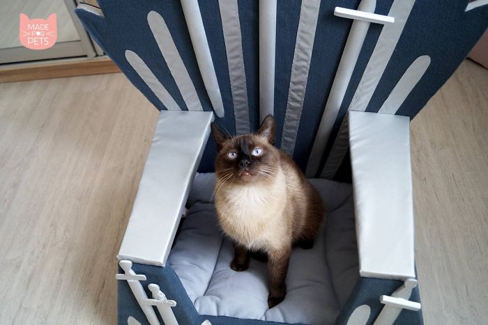 Handmade Game Of Thrones Beds For Pets Who Rule The Household