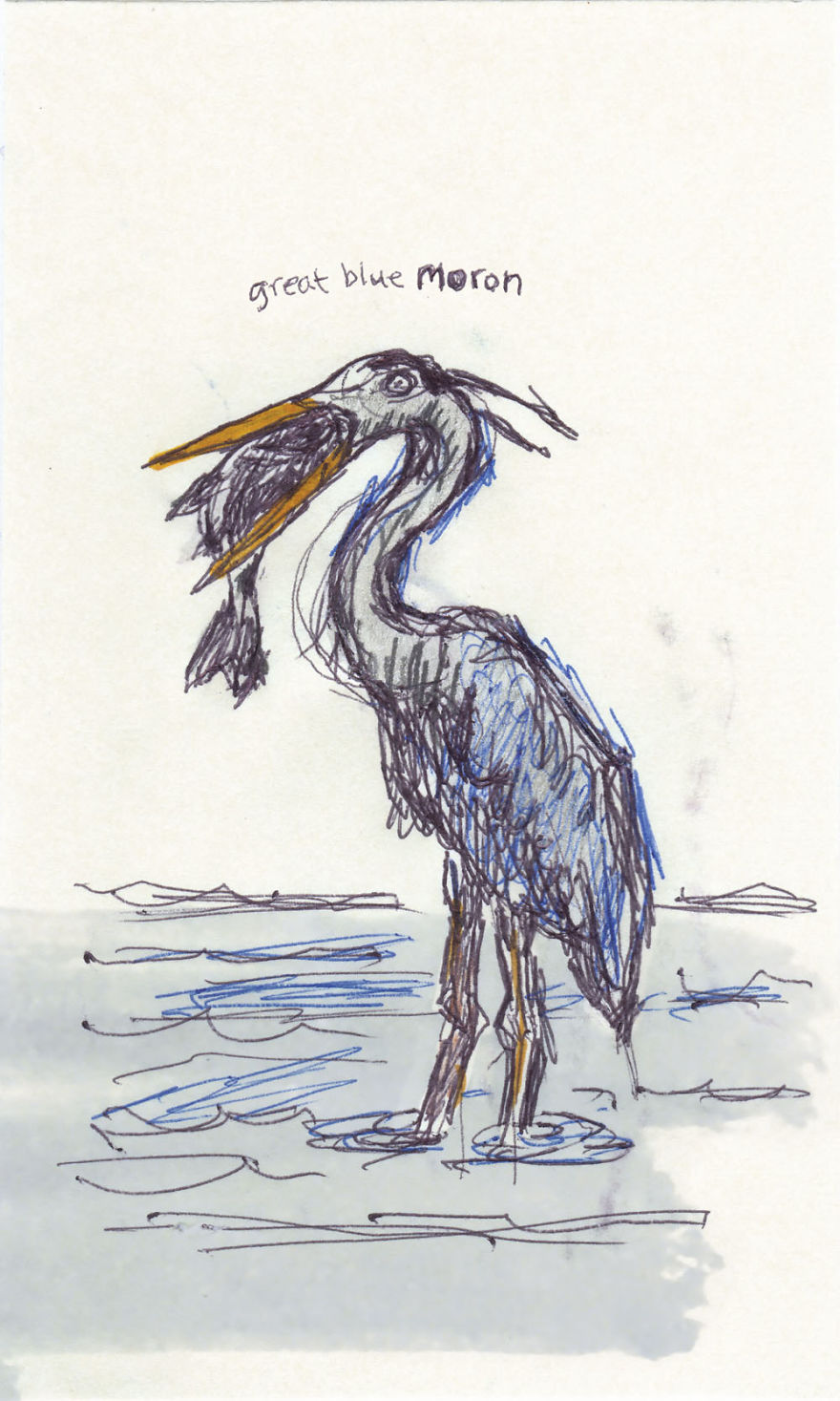 I Draw Pictures Of Birds, And Then Blog About Why They’re So Stupid I Draw Pictures Of Birds, And Then Blog About Why They’re So Stupid